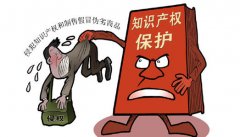 知識產(chǎn)權保護對于一個國家的意義到底在哪里？